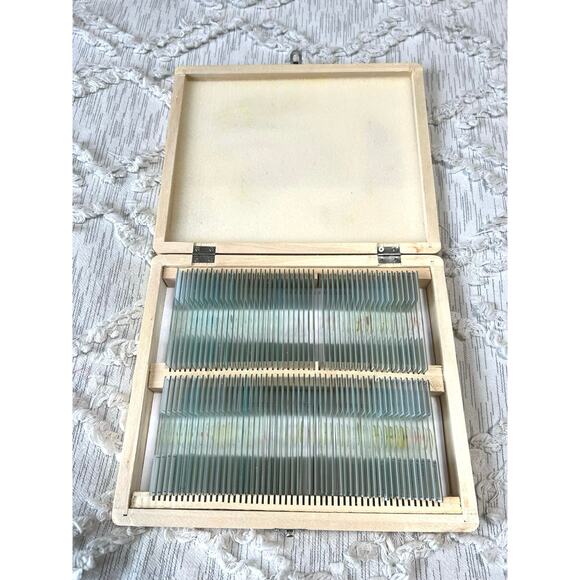 AmScope Specimen Collection Prepared Biology Microscope Slides - Picture 2 of 6